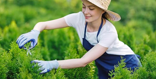 Zatrudnie do prac ogrodowych okolice lotniska