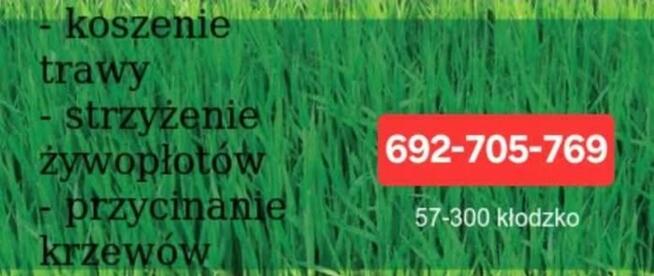 Koszenie trawy, przycinanie krzewów i żywopłotów