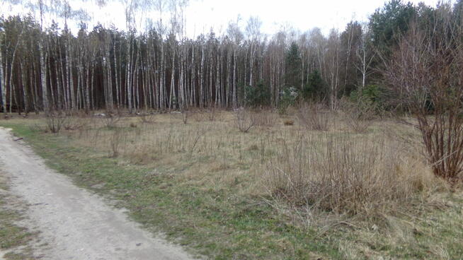Działka budowlana w Michałówku