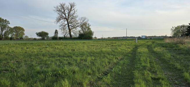 Działki w bliskiej okolicy Stargardu