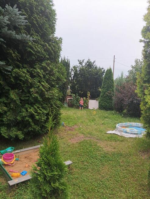 Działka rekreacyjna