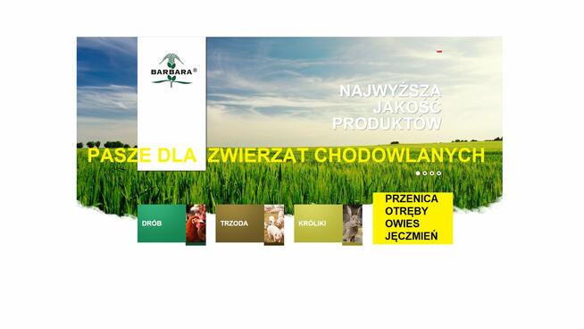 Węgiel groszek BARTEX Silver 26-28 MJ i GOLD 27-29MJ