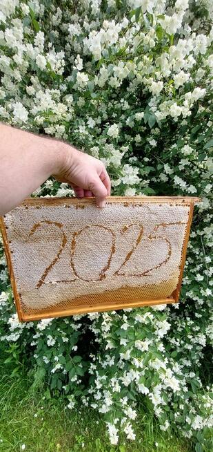 Sprzedam miód rzepakowy/wielokwiatowy z własnej pasieki