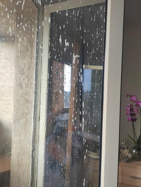 Profesjonalne sprzątanie lokali