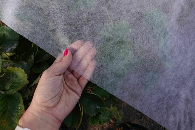 Agrowłóknina Fiberina Biała 23g UV Polska Włóknina okryciowa