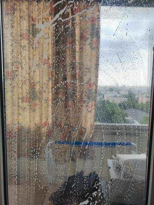 Profesjonalne sprzątanie lokali