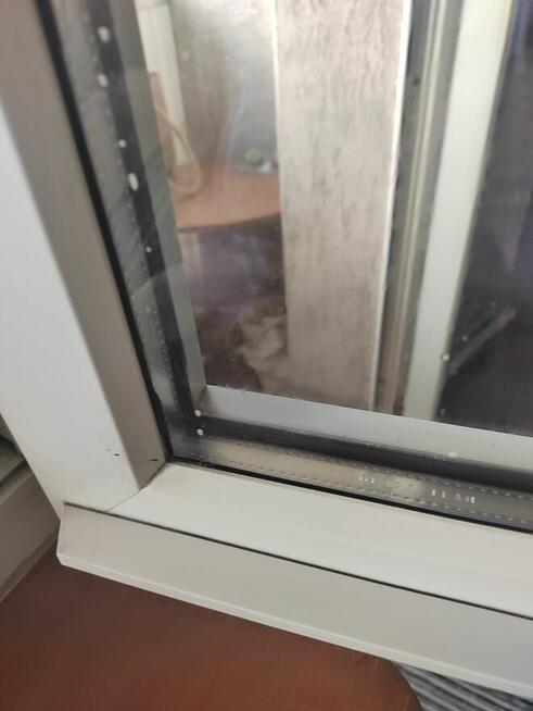 Profesjonalne sprzątanie lokali