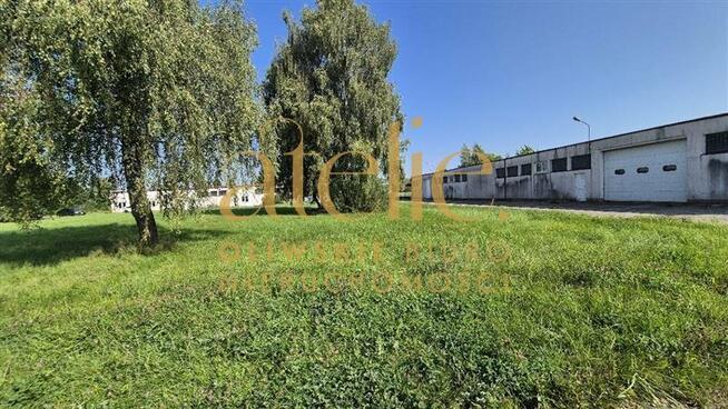 Działka z 3 Halami Przemysłowymi Białogard