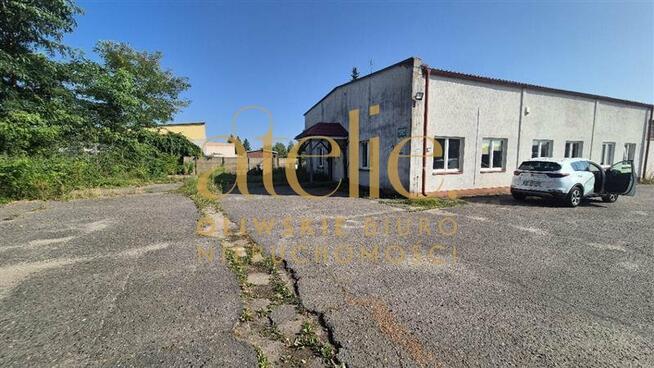 Działka z 3 Halami Przemysłowymi Białogard