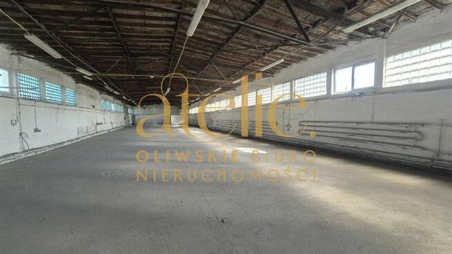 Działka z 3 Halami Przemysłowymi Białogard