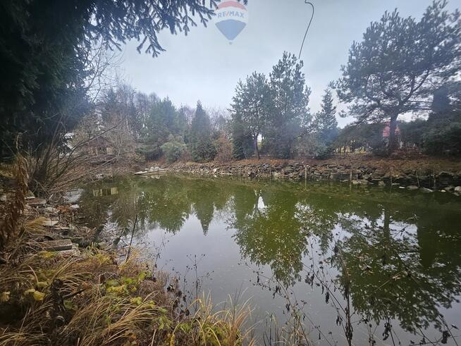 Działka Rod ze stawem do własnej aranżacji!