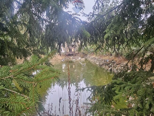 Działka Rod ze stawem do własnej aranżacji!