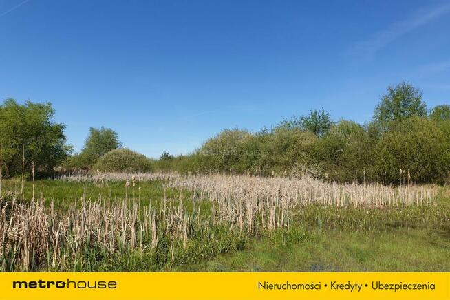 Działka Jarczechowo