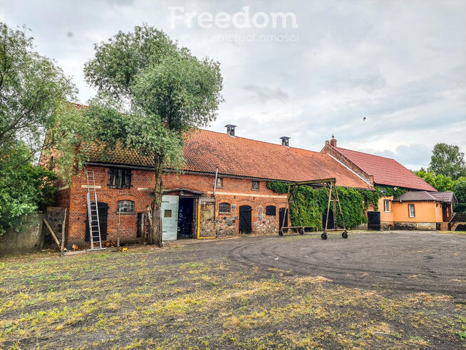 Dom na dużej działce.