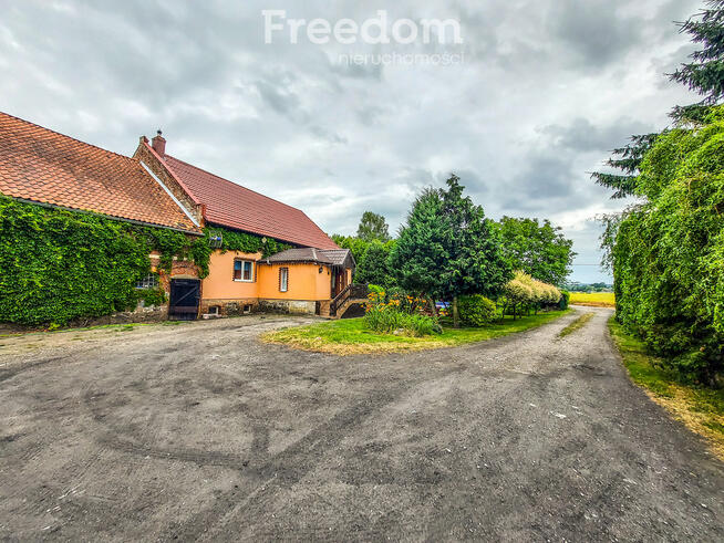 Dom na dużej działce.