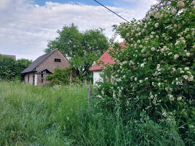 Nieruchomość z siedliskiem