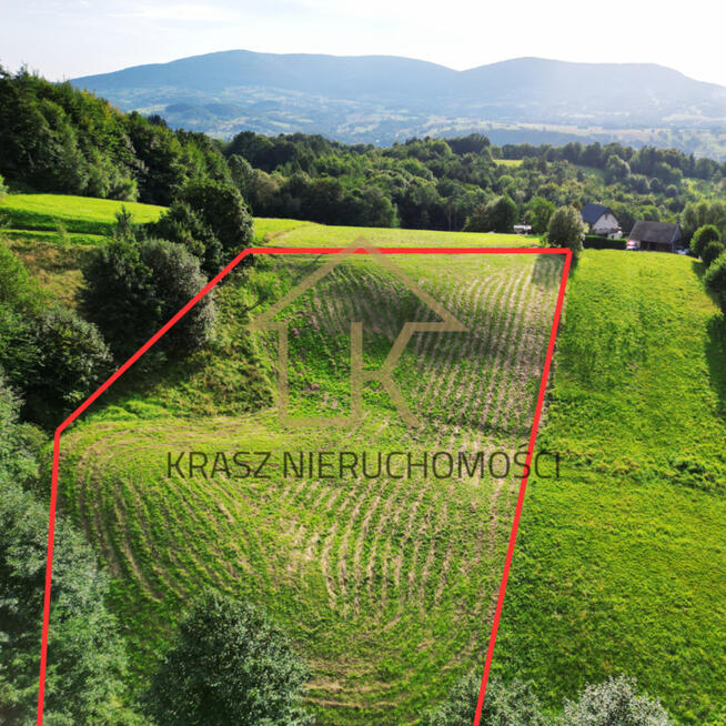 Zielona oaza działka z lasem i pięknym widokiem