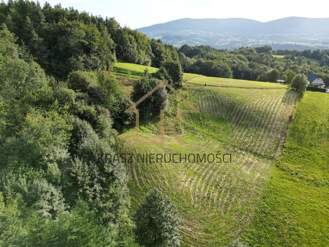 Zielona oaza działka z lasem i pięknym widokiem