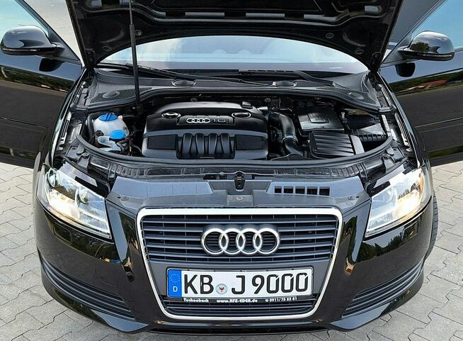 Audi A3 * 1.6MPi* BDB STAN* KLiMAtronik* podgrzew. fotele* LiFTiNG