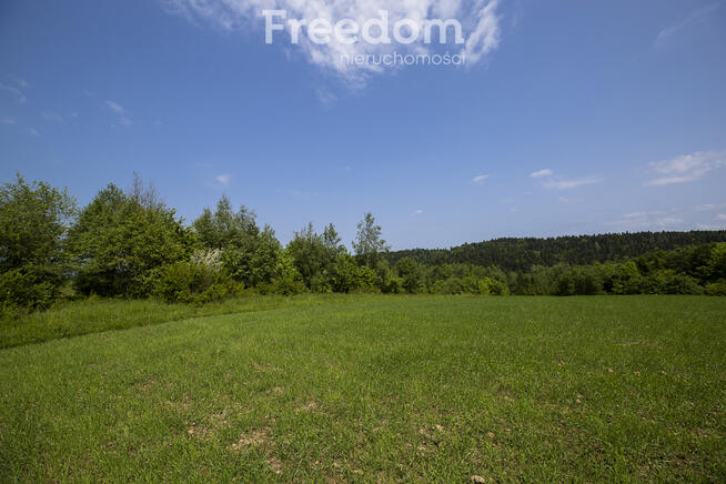 1,8 ha pod rekreację, siedlisko lub fotowoltaikę