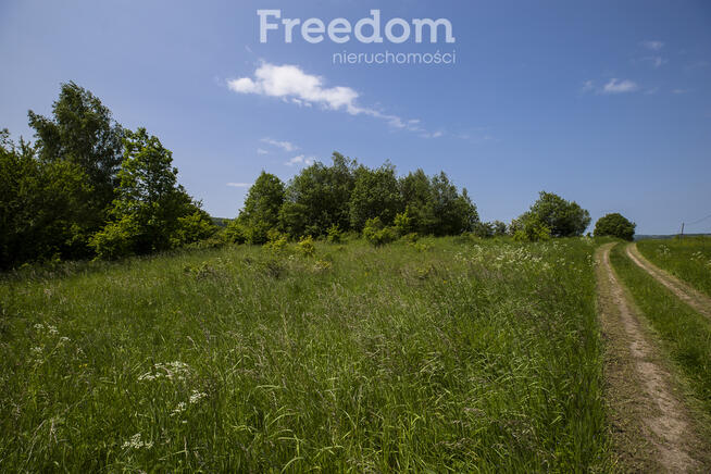 1,8 ha pod rekreację, siedlisko lub fotowoltaikę