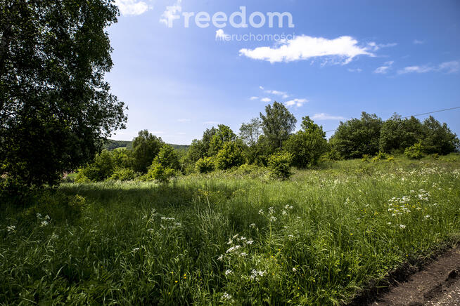 1,38 ha pod siedlisko, pasiekę lub fotowoltaikę