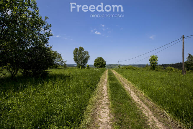 1,38 ha pod siedlisko, pasiekę lub fotowoltaikę