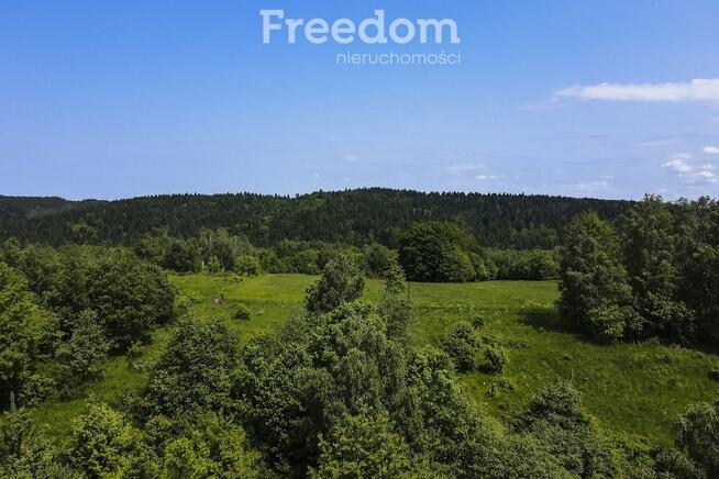 1,38 ha pod siedlisko, pasiekę lub fotowoltaikę