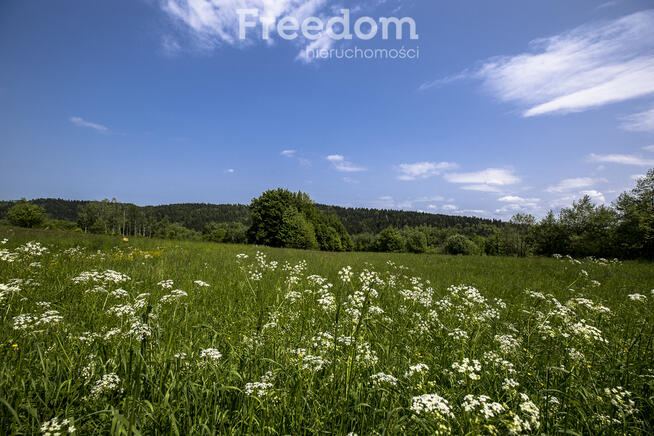 1,38 ha pod siedlisko, pasiekę lub fotowoltaikę