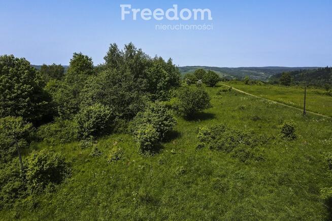 1,38 ha pod siedlisko, pasiekę lub fotowoltaikę