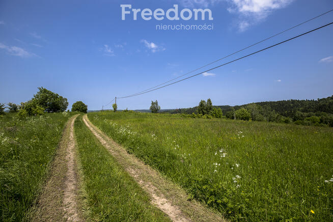 1,38 ha pod siedlisko, pasiekę lub fotowoltaikę