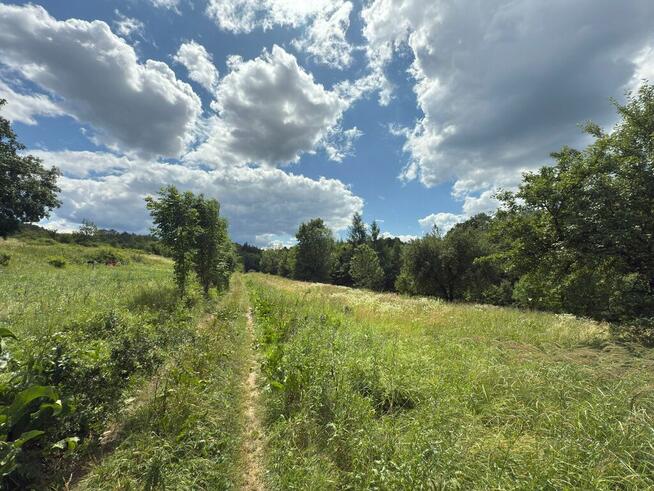 Działka w spokojnej okolicy, gm. Zagórz