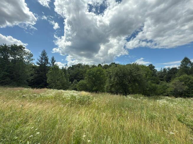 Działka w spokojnej okolicy, gm. Zagórz