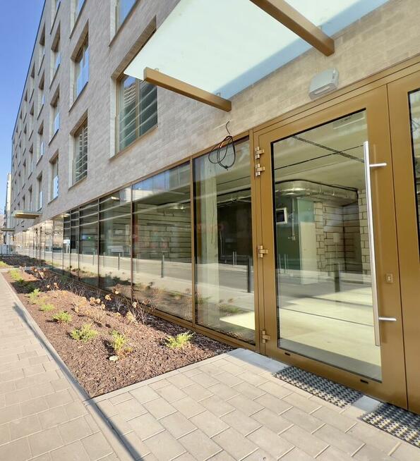 Lokal użytkowy Wrocław Stare Miasto, Stare Miasto, Czysta