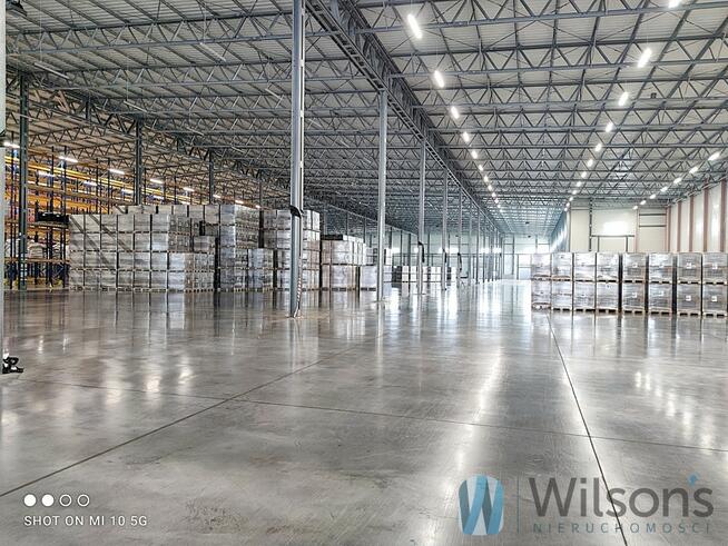 Lokal użytkowy Pęcice gm. Michałowice,