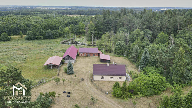 Wyjątkowe siedlisko na Warmii ze stawem – 1 ha