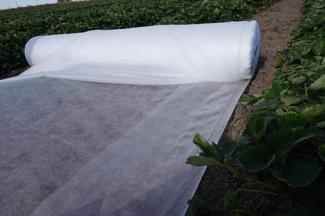 Agrowłóknina Fiberina Biała 23g UV Polska Włóknina okryciowa