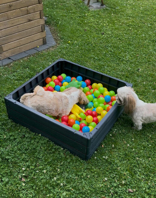 Leśny hotel dla psów w Jaworzu