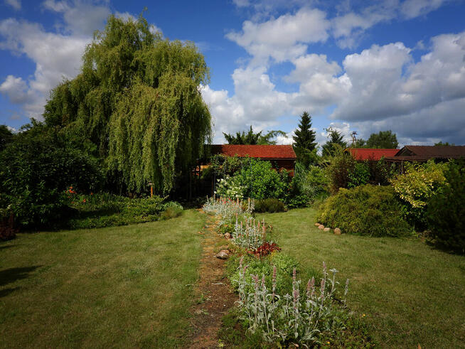 Sprzedam działkę ROD Jutrzenka/Wyspa Pucka