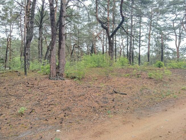 Piękna duża działka inwestycyjna 30km od granic Warszawy