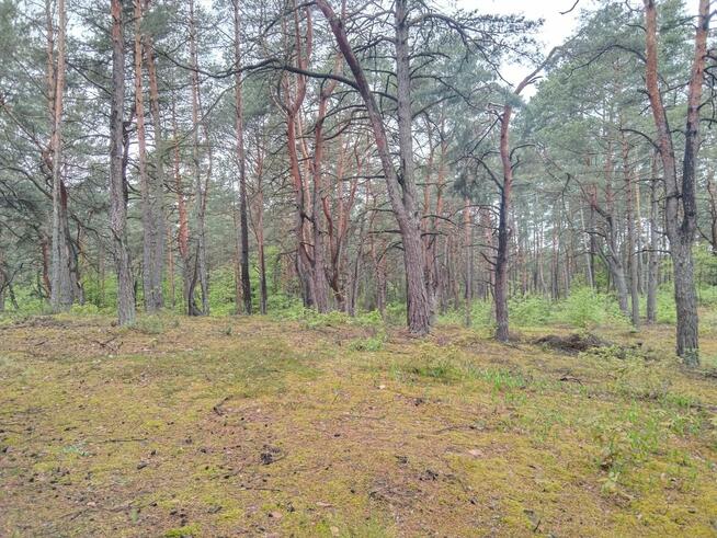 Piękna duża działka inwestycyjna 30km od granic Warszawy