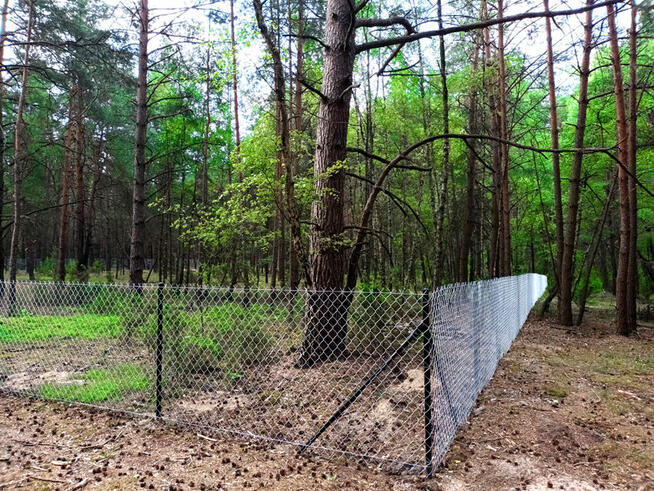 Piękna działka blisko Zalewu Zegrzyńskiego