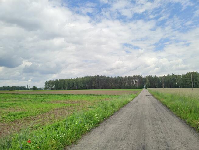 Sprzedam działkę idealną pod siedlisko bez sąsiadów - 2ha +