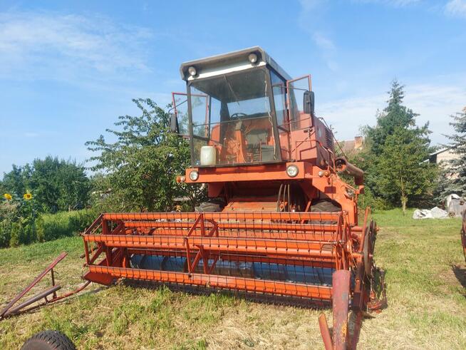 Sprzedam bizona z056