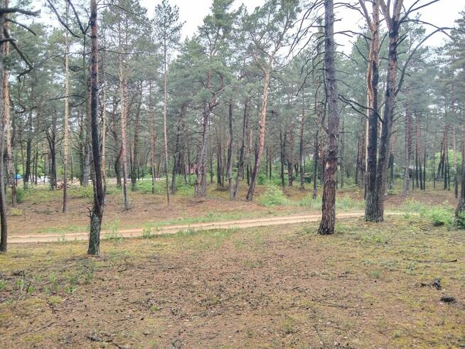 Piękna duża działka inwestycyjna 30km od granic Warszawy