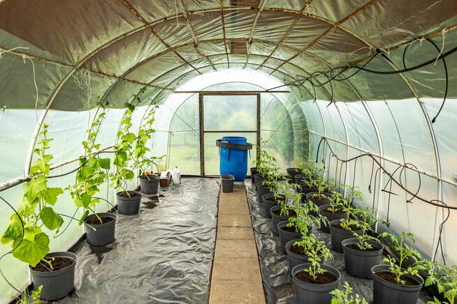 Ogród działkowy ROD - Twój zielony azyl w sercu Kluczborka