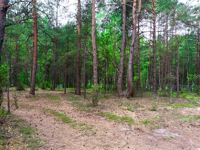 Piękna działka blisko Zalewu Zegrzyńskiego