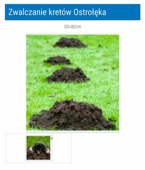 Krety zwalczam .b.skuteczna metoda