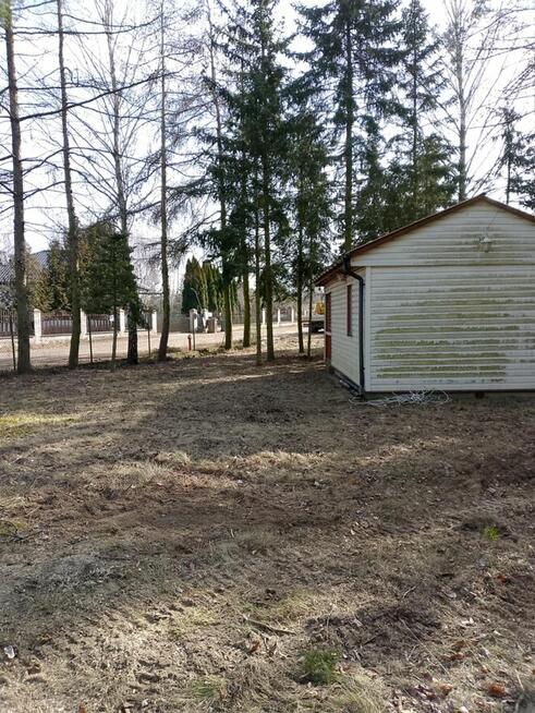 Wycinka drzew, Przycinka i Porządkowanie działek