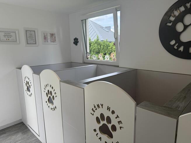 Leśny hotel dla psów w Jaworzu